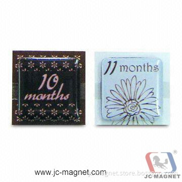 Resin 3D Fridge Magnets